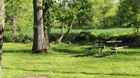 Stay With Us at Tohickon Family Campground