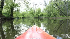 Photo Gallery at Tohickon Family Campground